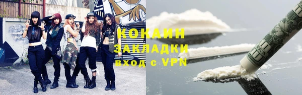 ПСИЛОЦИБИНОВЫЕ ГРИБЫ Михайлов