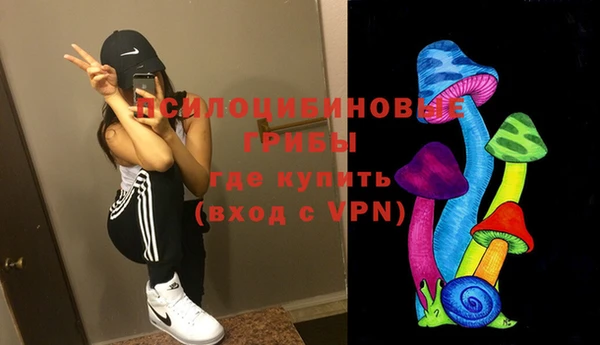 ПСИЛОЦИБИНОВЫЕ ГРИБЫ Михайлов