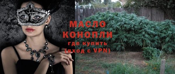 ПСИЛОЦИБИНОВЫЕ ГРИБЫ Михайлов