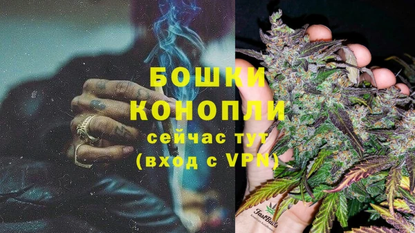 ПСИЛОЦИБИНОВЫЕ ГРИБЫ Михайлов