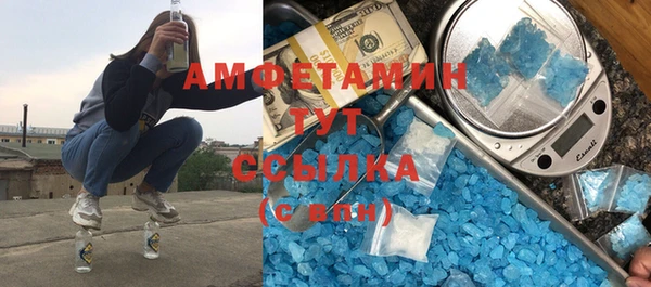 ПСИЛОЦИБИНОВЫЕ ГРИБЫ Михайлов