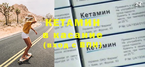 ПСИЛОЦИБИНОВЫЕ ГРИБЫ Михайлов
