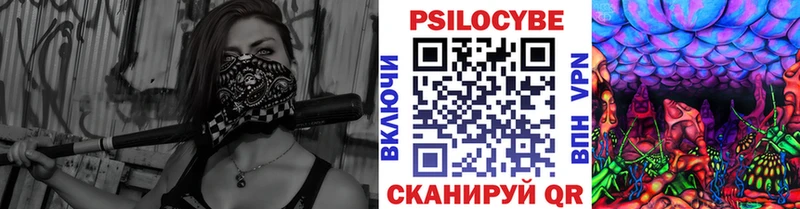 Псилоцибиновые грибы GOLDEN TEACHER  Кизилюрт 