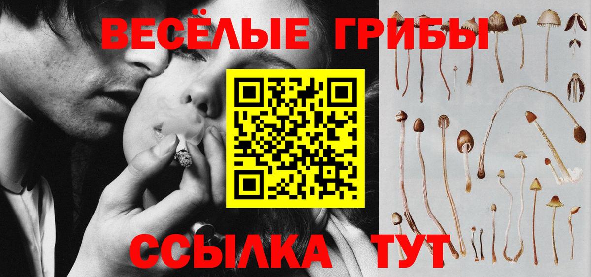 Кизилюрт  Галлюциногенные грибы мухоморы  Вход с VPN  Галлюциногенные грибы MAGIC MUSHROOMS 