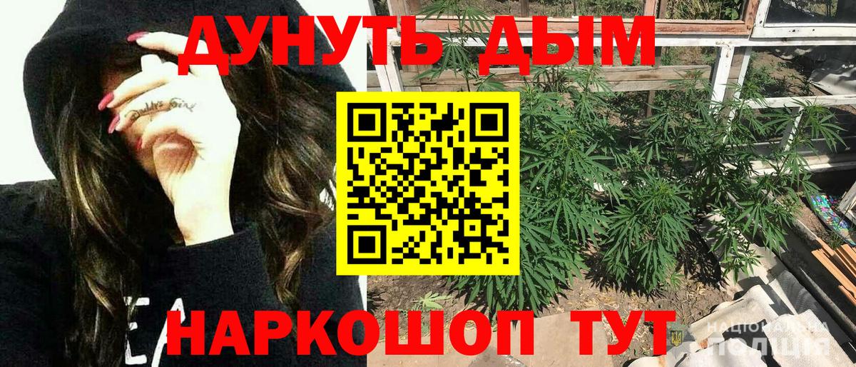 Кизилюрт  Бошки Шишки MAZAR  Марихуана сатива  Вход с VPN 